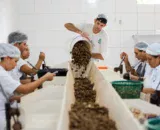consulta-sobre-bens-sustentave
