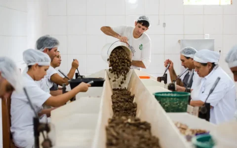 consulta-sobre-bens-sustentave
