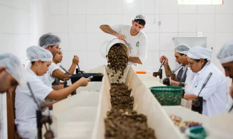 consulta-sobre-bens-sustentave