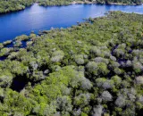 desmatamento-da-amazonia-cai-3