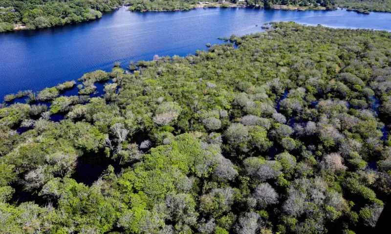 desmatamento-da-amazonia-cai-3