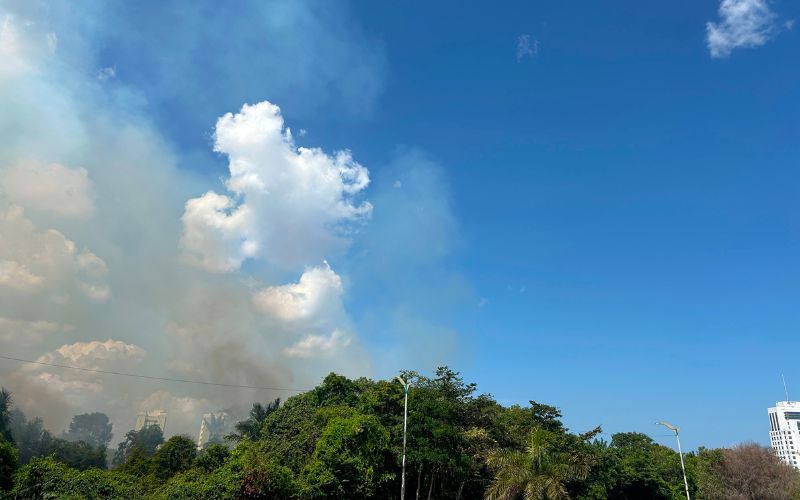 incendio-atinge-area-de-mata-e
