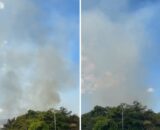incendio-atinge-area-de-mata-e