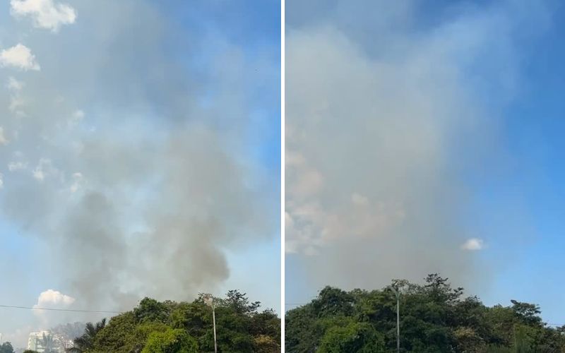 incendio-atinge-area-de-mata-e