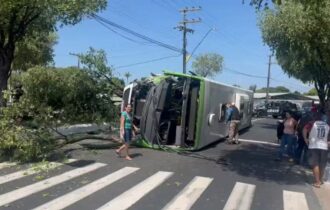 onibus-tomba-apos-bater-em-arv