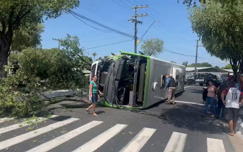 onibus-tomba-apos-bater-em-arv