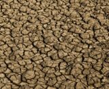 risco-de-desertificacao-no-bra