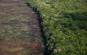 Amazonas concentra 20% dos alertas de desmatamento na Amazônia