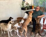 Campanha antirrábica leva vacinação para cães e gatos em Manaus