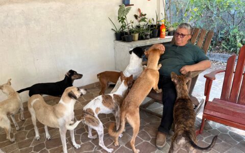 Campanha antirrábica leva vacinação para cães e gatos em Manaus