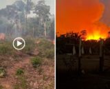 Incêndio ameaça casas e plantações às margens da AM-352, em Manacapuru