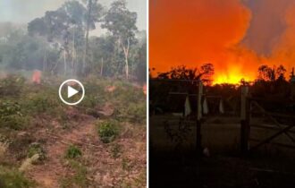 Incêndio ameaça casas e plantações às margens da AM-352, em Manacapuru