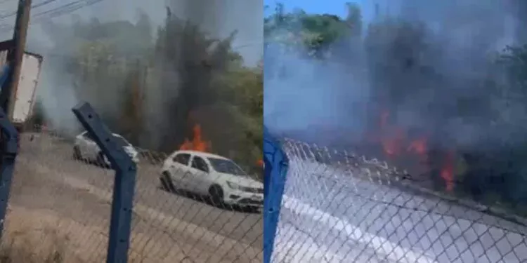 incendio-atinge-area-de-vegeta