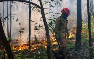Incêndio já destruiu área equivalente a 1.075 campos de futebol em Itacoatiara