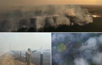 'Não podemos trabalhar apenas de forma reativa', alerta especialista sobre incêndio na BR-319