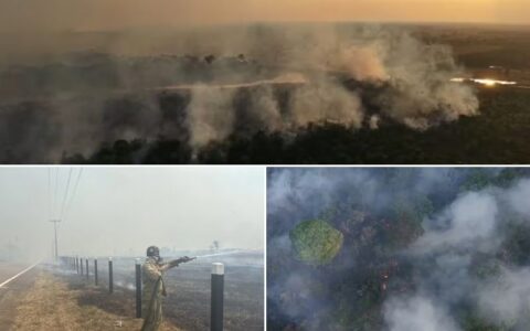 'Não podemos trabalhar apenas de forma reativa', alerta especialista sobre incêndio na BR-319