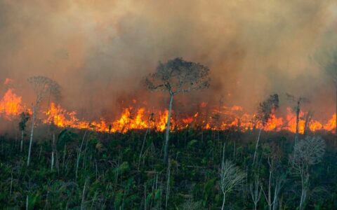 Manaus alerta para riscos à saúde durante estiagem e período de fumaça