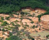 MPF cobra monitoramento permanente de mercúrio em rios e peixes na Amazônia