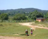 Reforma Agrária inclui 2,4 mil quilombolas no Maranhão