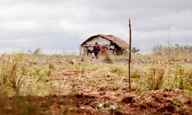 violencia-no-campo-mortes-caem