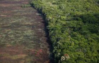 Amazonas concentra 20% dos alertas de desmatamento na Amazônia