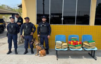 Cadela Zaya auxilia Guarda Municipal na apreensão de 30 kg de drogas em Manaus