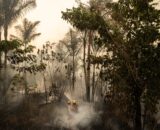 Defesa Civil monitora ar em Manaus devido à fumaça