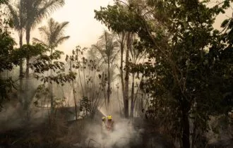 Defesa Civil monitora ar em Manaus devido à fumaça