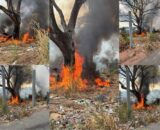 Incêndio atinge área de vegetação próximo ao Porto do São Raimundo, em Manaus