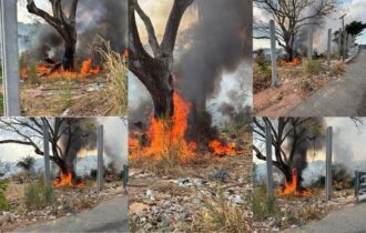 Incêndio atinge área de vegetação próximo ao Porto do São Raimundo, em Manaus
