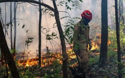 Incêndio já destruiu área equivalente a 1.075 campos de futebol em Itacoatiara