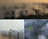 'Não podemos trabalhar apenas de forma reativa', alerta especialista sobre incêndio na BR-319