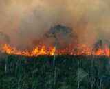 Manaus alerta para riscos à saúde durante estiagem e período de fumaça