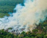 MPAM cria núcleo para articular atuação em crises ambientais no Amazonas