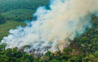MPAM cria núcleo para articular atuação em crises ambientais no Amazonas