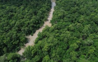 no-dia-da-amazonia-campanha-pe