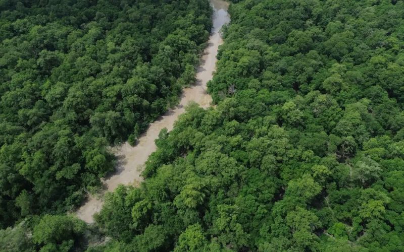 no-dia-da-amazonia-campanha-pe
