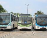 Ônibus voltam a circular em Manaus após paralisação