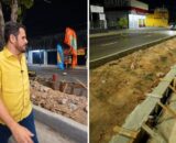 Prefeito Renato Junior garante permanência de árvores em canteiros centrais e anuncia plantio de novas