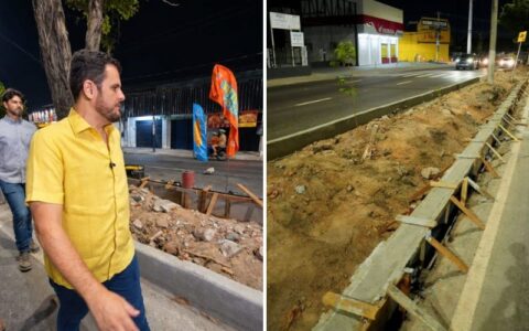 Prefeito Renato Junior garante permanência de árvores em canteiros centrais e anuncia plantio de novas