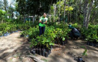 Prefeitura de Manaus celebra Dia da Árvore com recordes de arborização e doação de mudas