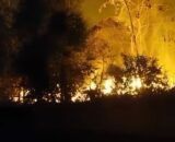 Queimadas aumentam no Amazonas e fumaça afeta Manaus