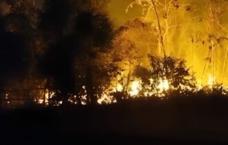 Queimadas aumentam no Amazonas e fumaça afeta Manaus