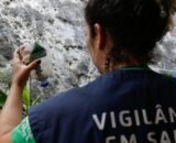 São Paulo tem mais de 58 mil casos de dengue desde o início do ano