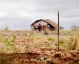 violencia-no-campo-mortes-caem