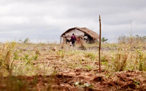 violencia-no-campo-mortes-caem