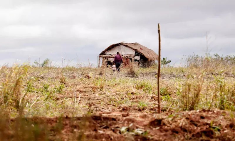 violencia-no-campo-mortes-caem
