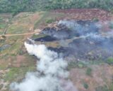 Queimadas irregulares geram R$ 25,6 milhões em multas no Amazonas