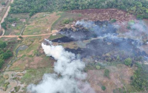 Queimadas irregulares geram R$ 25,6 milhões em multas no Amazonas