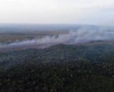Incêndio em área de proteção de Alter do Chão é controlado